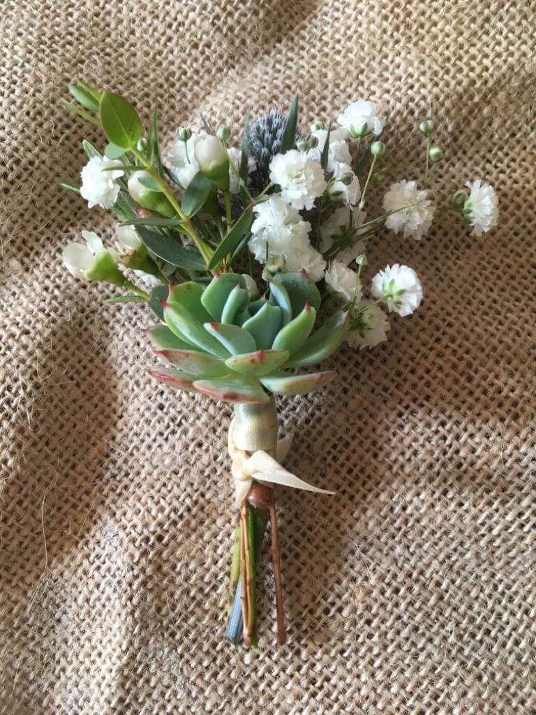 Buttonhole with gypsophila, thistles and succulents